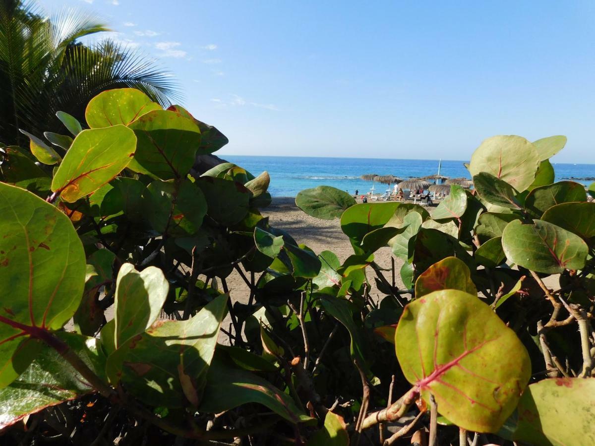 Brisas Del Mar Apartment Costa Adeje  ภายนอก รูปภาพ