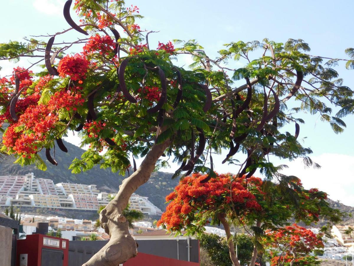 Brisas Del Mar Apartment Costa Adeje  ภายนอก รูปภาพ
