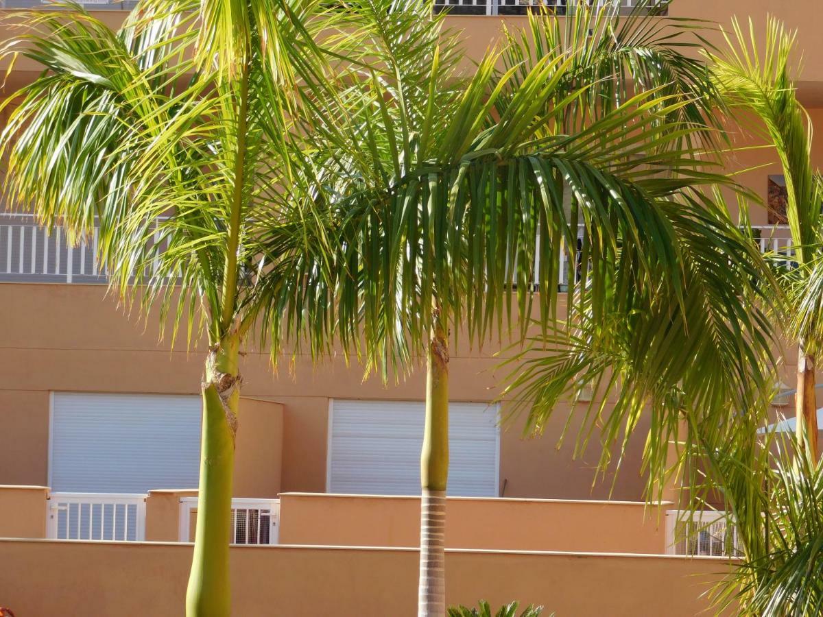 Brisas Del Mar Apartment Costa Adeje  ภายนอก รูปภาพ